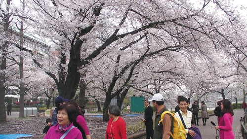 Erstes Vertretungsbüro des Tourismusverbands Vietnams im Ausland - ảnh 1