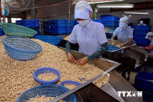 Verstärkung der Privatisierung der staatlichen Unternehmen - ảnh 1