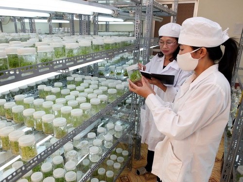 Vietnamesisch-japanische Kommission tagt über Zusammenarbeit in Technologie - ảnh 1