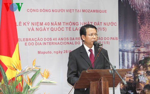 Aktivitäten im Ausland zum 40. Jahrestag der Vereinigung Vietnams  - ảnh 1