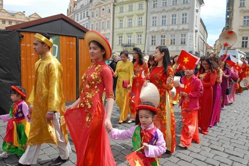 Chancen zur Zusammenarbeit zwischen Vietnam und Provinzen Tschechiens - ảnh 1