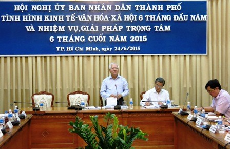 Wirtschaft von Ho Chi Minh Stadt: Wiederbelebung und Wachstum - ảnh 1