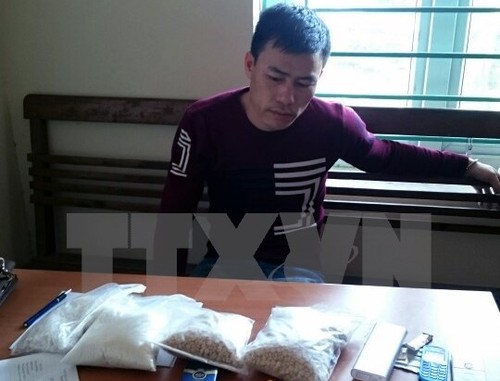 Vietnam und Laos kooperieren beim Kampf gegen Drogenkriminalität an der Grenze  - ảnh 1