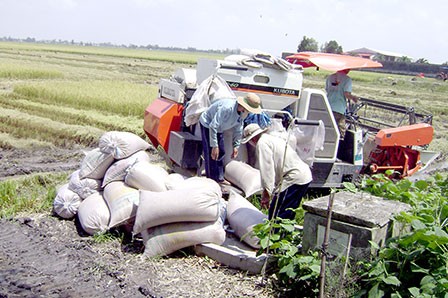 Die Genossenschaft Khiet Tam in Can Tho  - ảnh 1