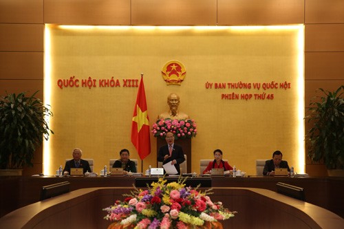 45. Sitzung des ständigen Parlamentsausschusses - ảnh 1