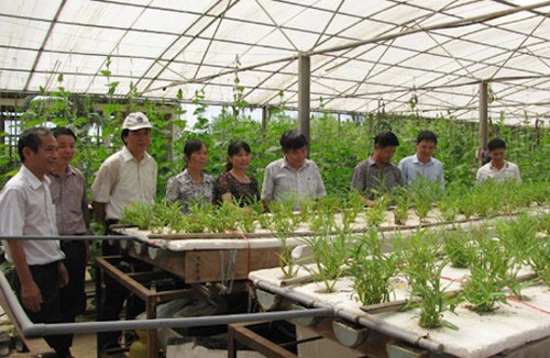 Vietnam ermöglicht Unternehmen aus Kyushu, in Vietnam effizient tätig zu sein. - ảnh 1