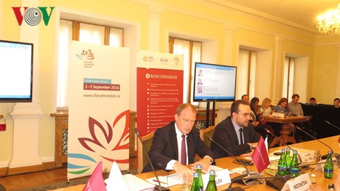 Diplomaten der APEC-Länder erfahren etwas über Fernost-Wirtschaftsforum - ảnh 1