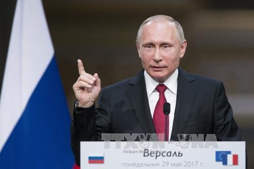 Putin weist Vorwurf eines Chemiewaffeneinsatzes durch syrische Armee zurück - ảnh 1