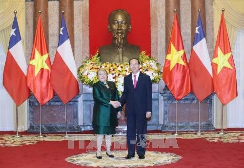 Verstärkung der umfassenden Zusammenarbeit zwischen Vietnam und Chile - ảnh 1
