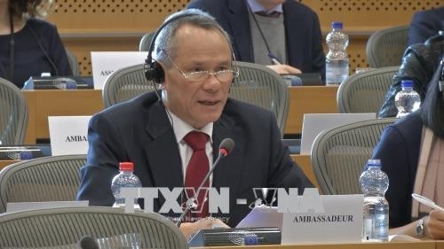 Europäisches Parlament fördert Freihandelsabkommen mit Vietnam - ảnh 1