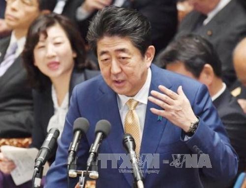 Japan fördert Ratifizierung des CPTPP - ảnh 1