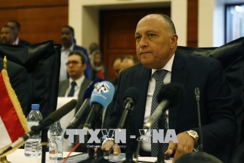 Zahlreiche Länder rufen zur Förderung politischer Lösung in Syrien auf - ảnh 1