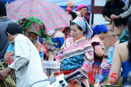Forschung einiger Gesetze bezüglich ethnischer Minderheiten - ảnh 1