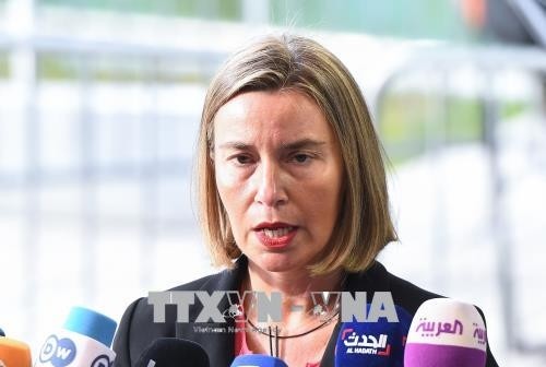 EU und Russland wollen am Atomabkommen mit Iran festhalten - ảnh 1