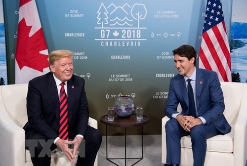 Positive Signale aus dem USA-Mexiko-Kanada-Abkommen - ảnh 1