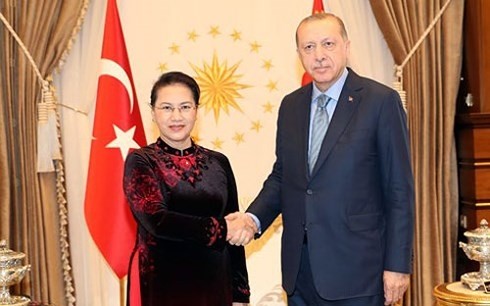 Nguyen Thi Kim Ngan beendet ihre Teilnahme an MSEAP 3 und Türkei-Besuch - ảnh 1