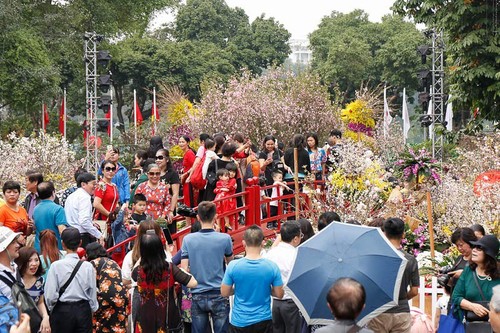 Japanisches Kirschblütenfest – Hanoi 2019 lockt rund eine Million Touristen an - ảnh 1