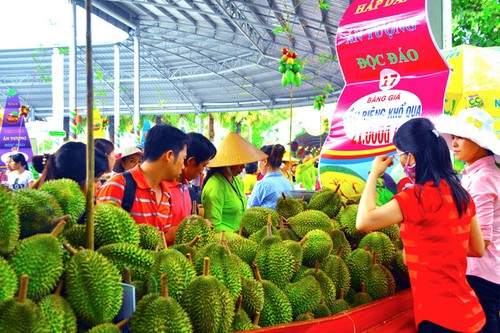 Obstfestival des Südens in Ho-Chi-Minh-Stadt - ảnh 1