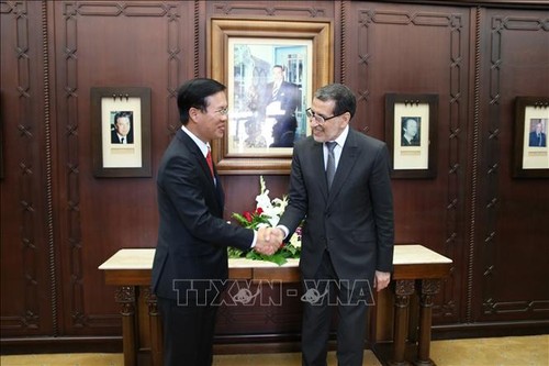 Der Leiter des KP-Zentralkomitees für Aufklärung und Erziehung trifft Marokkos Ministerpräsident - ảnh 1