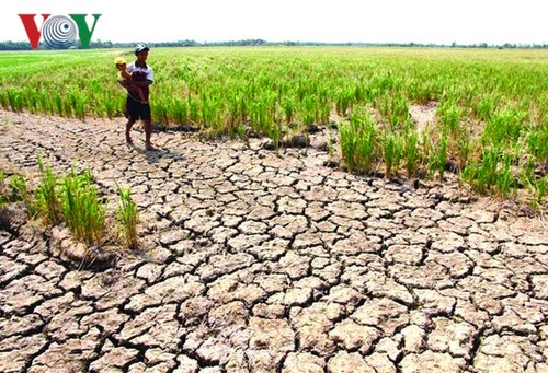 Niedrigster Mekong-Wasserstand bedroht Länder im Unterlauf - ảnh 1