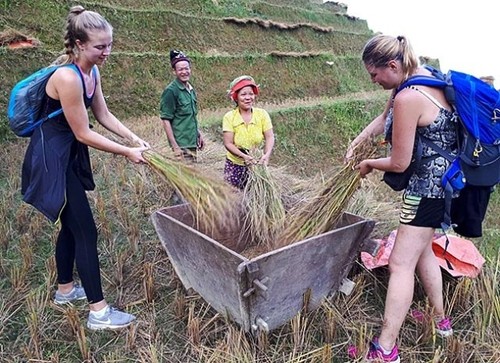 Bauern in Ha Giang engagieren sich für Gemeinschaftstourismus - ảnh 2