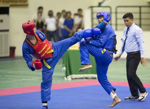 400 Kämpfer nehmen an Vovinam-Landesmeisterschaft teil - ảnh 1