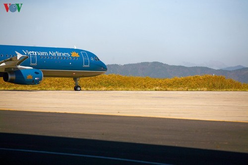 Flughafen Lien Khuong: bunte Blume im Hochland Tay Nguyen - ảnh 11