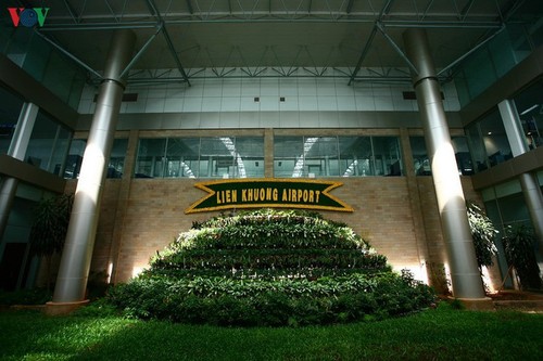 Flughafen Lien Khuong: bunte Blume im Hochland Tay Nguyen - ảnh 6