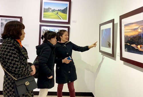 Vorstellung der Kunst- und Fotowerke über Partei und Frühling - ảnh 1