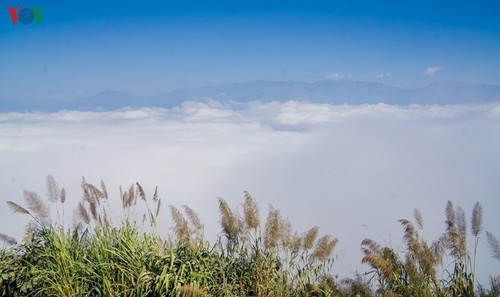 A Pa Chai - Westlichster Punkt des Landes  - ảnh 6