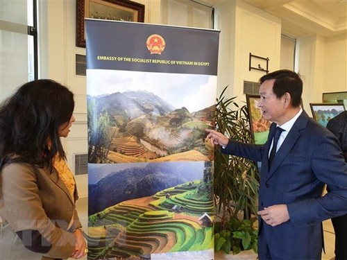 Werbung für vietnamesische Kultur in Ägypten - ảnh 1