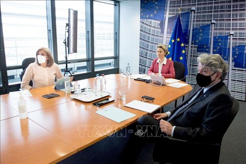 EU fördert Entwicklung von Impfstoffen gegen neue Varianten des SARS-CoV-2-Virus - ảnh 1