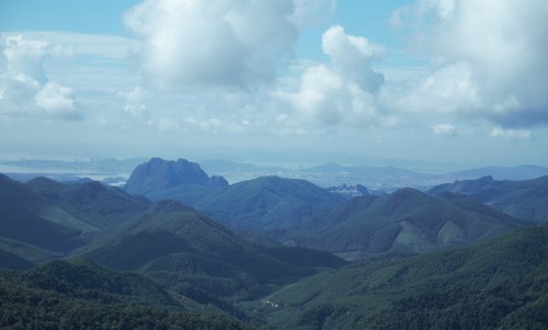 Entdeckung des Naturschutzgebiets innerhalb der Stadt Ha Long - ảnh 1