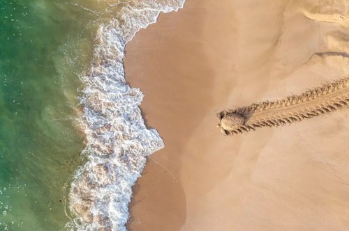 Foto über Fischfang in der Lagune Tam Giang gewinnt Kategorie „Menschen” bei Drone Photo Awards  - ảnh 4