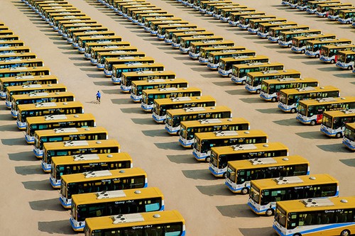 128 Werke beim Festival junger Fotografen 2021 ausgestellt - ảnh 1