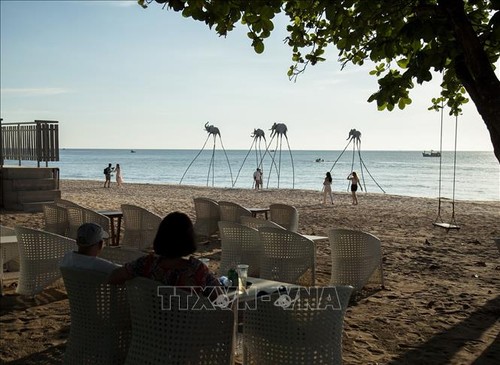 Anzahl der ausländischen Touristen in Vietnam im November auf mehr als 42 Prozent im Vergleich zum Vormonat gestiegen - ảnh 1