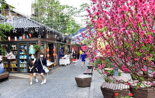 Bücherstraße zur Begrüßung des Jahres des Tigers wird am 29. Januar in Hanoi eröffnet - ảnh 1