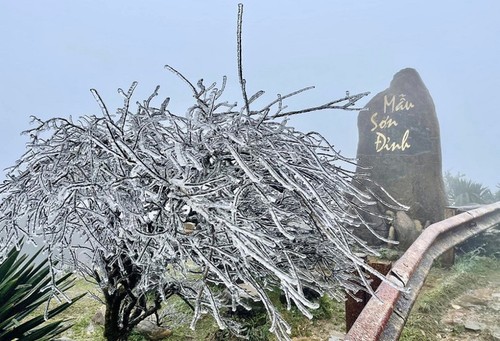 Eis in den bergigen Gebieten Nordvietnams - ảnh 1