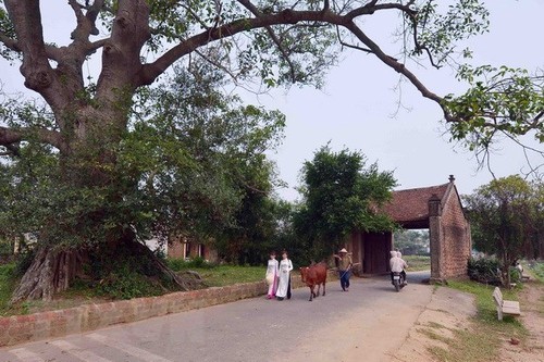 Erlebnistourismus im alten Dorf Duong Lam - ảnh 1