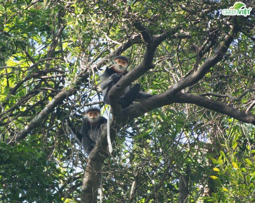 Erfahrungsaustausch und Orientierung für nachhaltige, gemeindebasierte Tourismusentwicklung in Tam My Tay  - ảnh 1