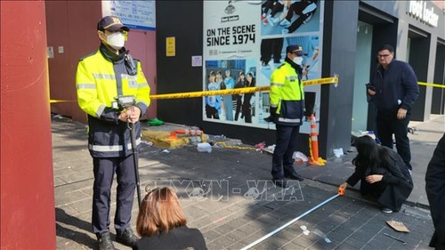 Bürgerschutz bezüglich der Massenpanik bei Halloween-Feier in Seoul - ảnh 1