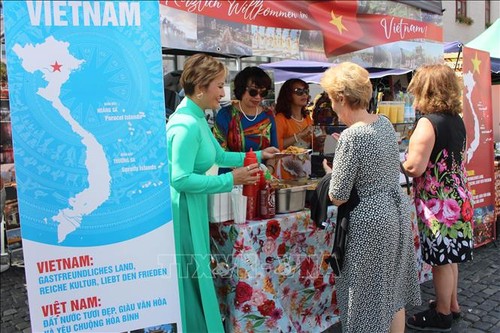 Deutschen Freunden das Image Vietnams näherbringen - ảnh 1