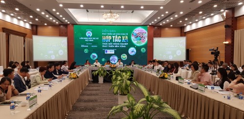 Entwicklung des Genossenschaftsmodells zur Förderung der nachhaltigen Landwirtschaft - ảnh 1