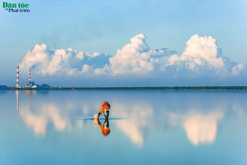 Idyllische Schönheit am Strand Quang Lang in der Provinz Thai Binh - ảnh 7