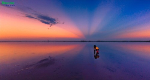 Idyllische Schönheit am Strand Quang Lang in der Provinz Thai Binh - ảnh 8