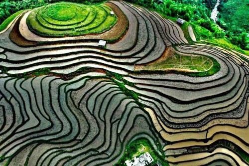 Ha Giang – Asiens führendes kulturelles Reiseziel - ảnh 1