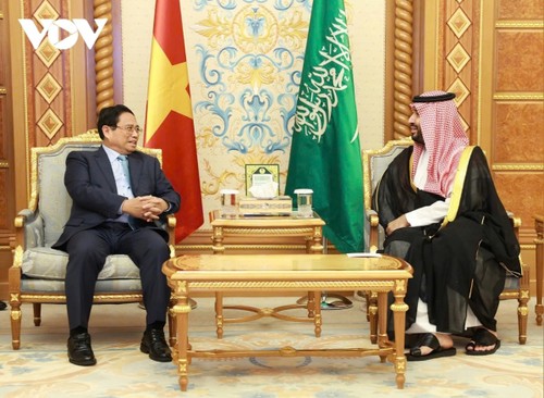 Beziehungen zwischen Vietnam und Saudi-Arabien auf eine neue Stufe gebracht - ảnh 1