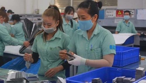 Nach Tetfest kehren zahlreiche Unternehmen der Provinz Dong Nai und von Ho-Chi-Minh-Stadt zur Arbeit zurück - ảnh 1