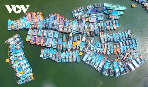 Nach 50 Jahren Befreiung verändert sich Da Nang - ảnh 11