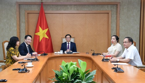 EU will Beziehungen zu Vietnam zur umfassenden strategischen Partnerschaft aufwerten - ảnh 1